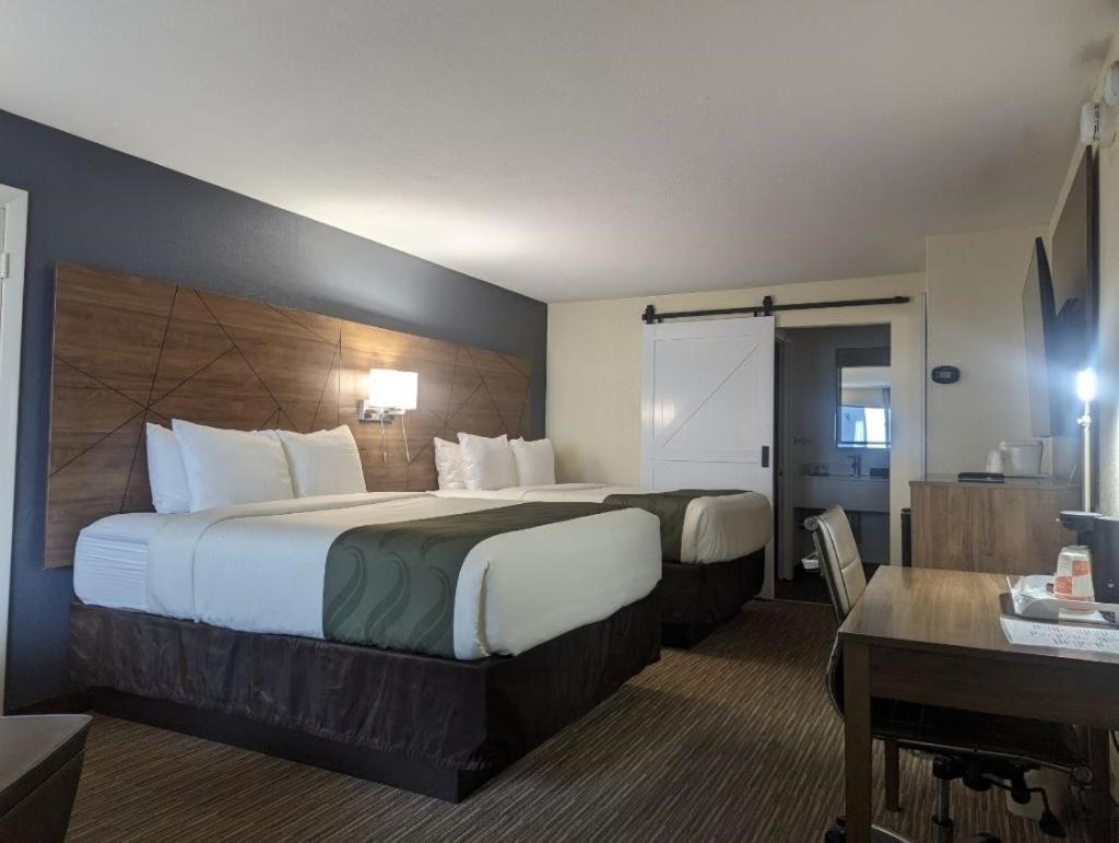 Quality Inn & Suites Northampton - Amherst Exteriér fotografie